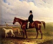 unknow artist Classical hunting fox, Equestrian and Beautiful Horses, 043. oil painting picture wholesale